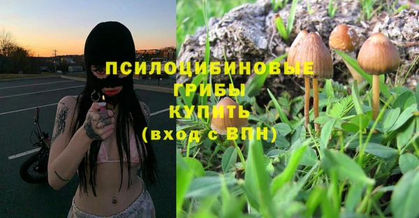 прущая мука Абдулино