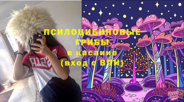 первитин Алексеевка