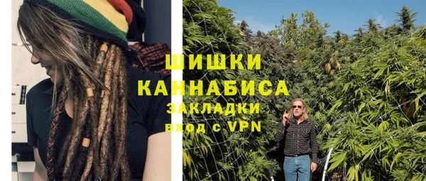 шишки Ижевск
